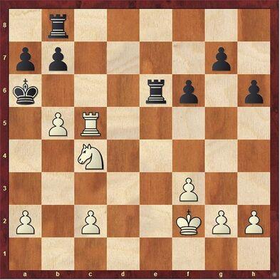 Chess Corner: Shelter
